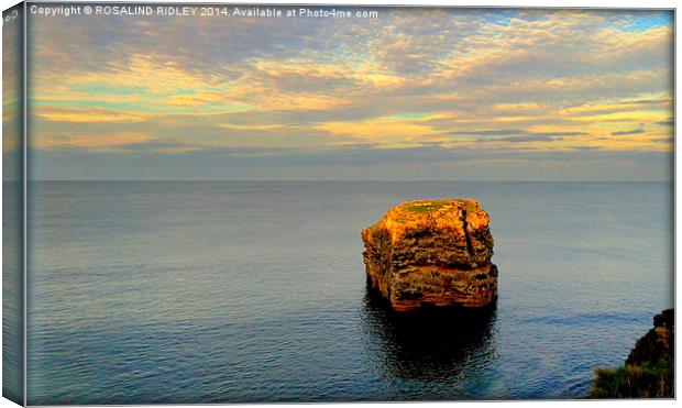 "EVENING LIGHT ON ROCK STACK"  Canvas Print by ROS RIDLEY