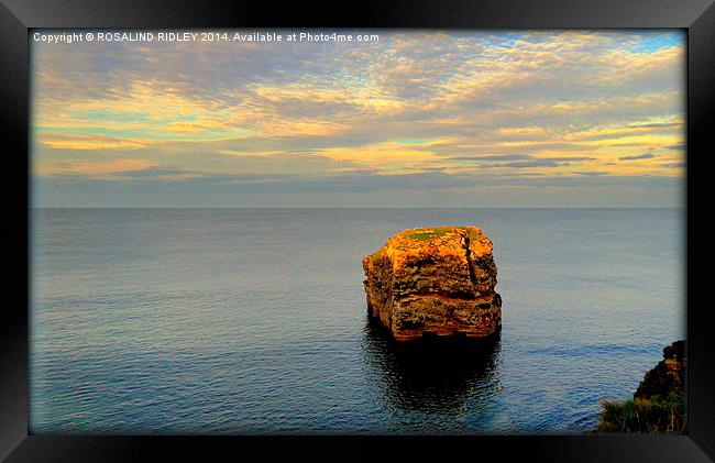 "EVENING LIGHT ON ROCK STACK"  Framed Print by ROS RIDLEY