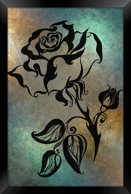  Chinese Rose. Blue  Framed Print by Jenny Rainbow