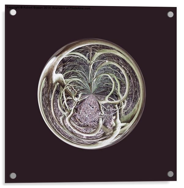  Entanglement Acrylic by Robert Gipson