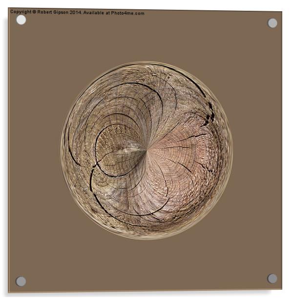  Tree Globe Acrylic by Robert Gipson