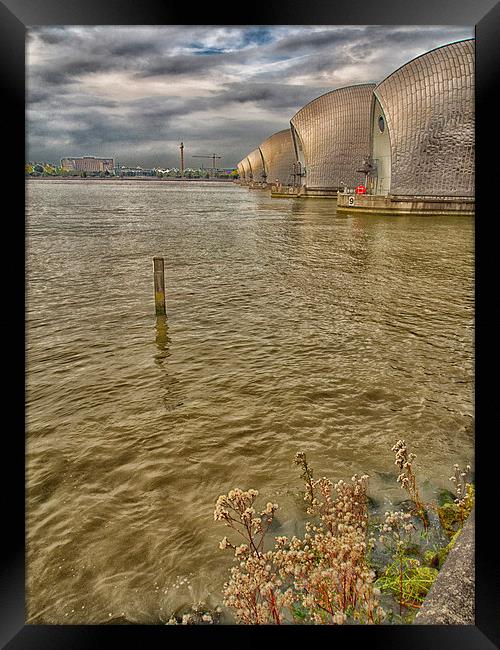 The Thames Barrier  Framed Print by Clive Eariss
