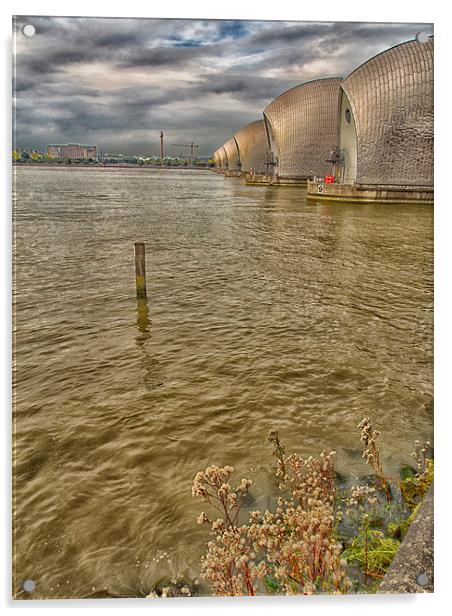 The Thames Barrier  Acrylic by Clive Eariss