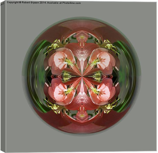  Four Flower Globe Canvas Print by Robert Gipson