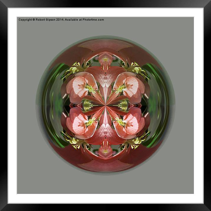 Four Flower Globe Framed Mounted Print by Robert Gipson