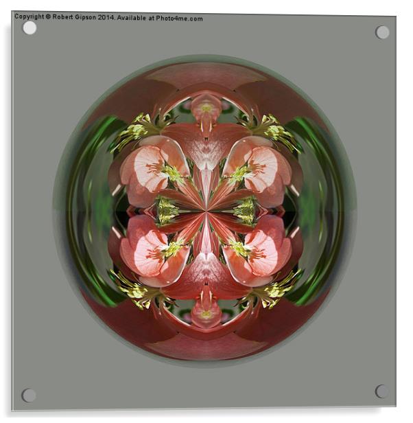  Four Flower Globe Acrylic by Robert Gipson