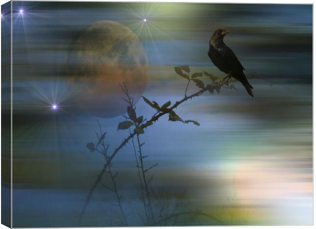  Raven's Dawn. Canvas Print by Heather Goodwin