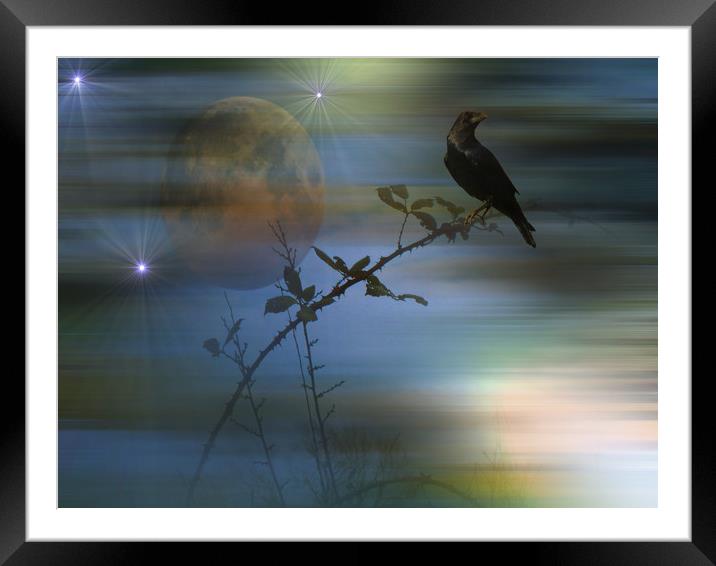  Raven's Dawn. Framed Mounted Print by Heather Goodwin