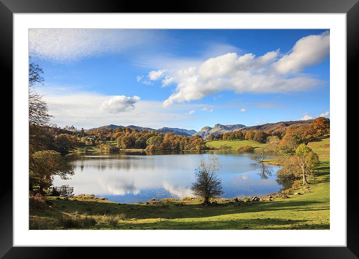 Loughrigg Tarn Framed Mounted Print by Andrew Ray