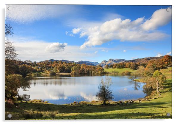 Loughrigg Tarn Acrylic by Andrew Ray