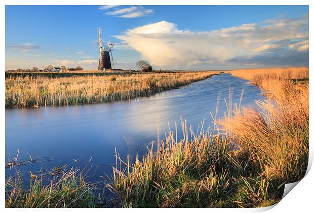 Mutton's Drainage Mill Print by Andrew Ray
