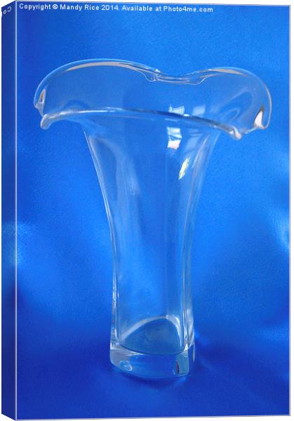  Clear glass vase Canvas Print by Mandy Rice