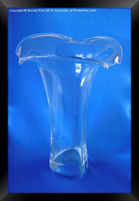  Clear glass vase Framed Print by Mandy Rice