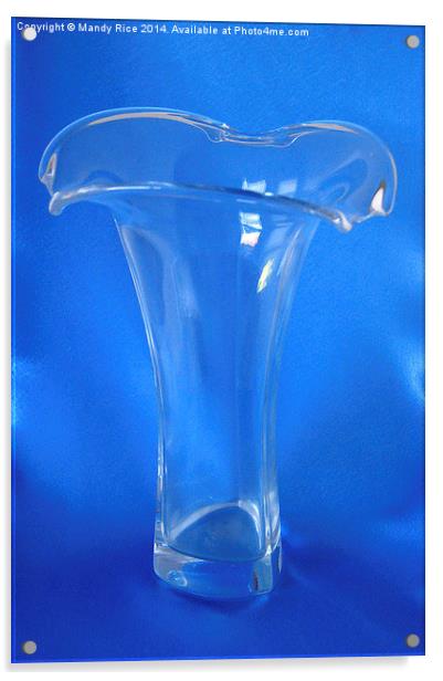  Clear glass vase Acrylic by Mandy Rice