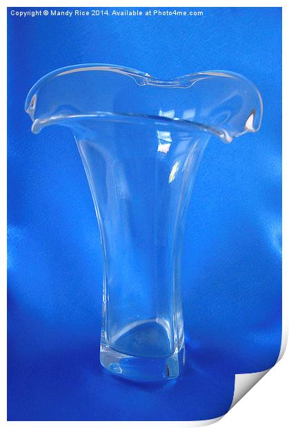  Clear glass vase Print by Mandy Rice