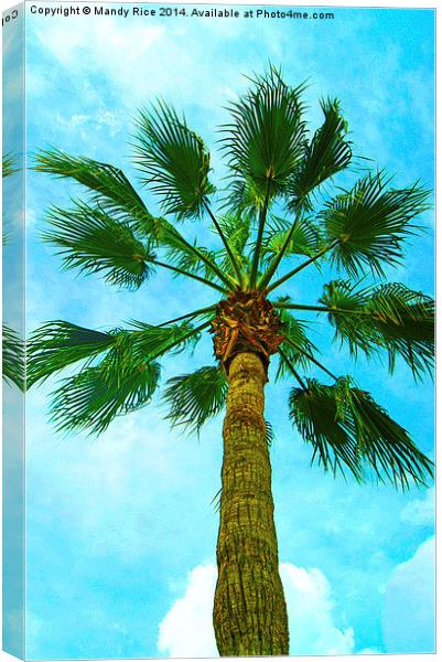  Palm tree Canvas Print by Mandy Rice