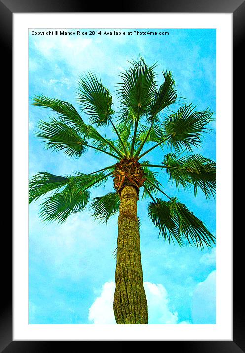  Palm tree Framed Mounted Print by Mandy Rice