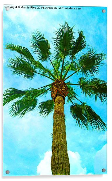  Palm tree Acrylic by Mandy Rice