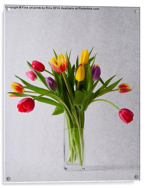  Pretty coloured Tulips Acrylic by Fine art by Rina