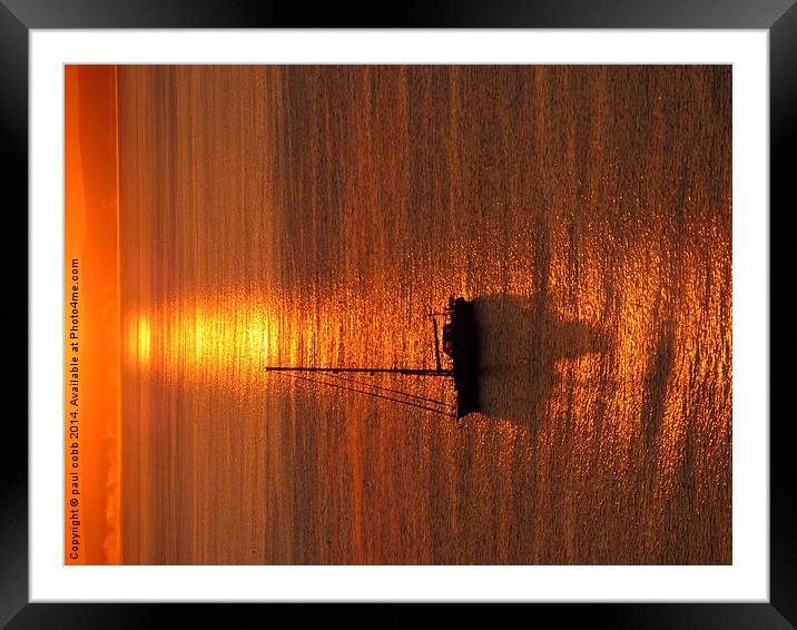  Golden dawn Framed Mounted Print by paul cobb