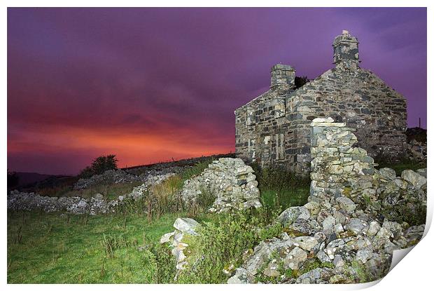  Bryn Eithin cottage Print by Rory Trappe