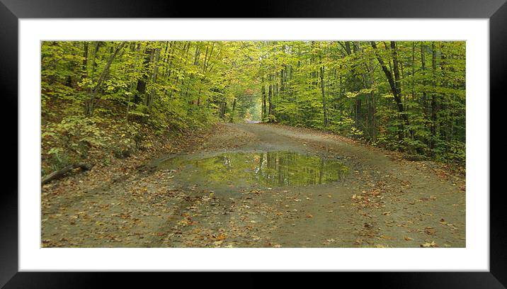 Puddle in Oxtongue River Rapids Framed Mounted Print by Donna-Marie Parsons