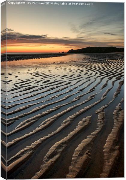  Sandhaven Beach at South Shields Canvas Print by Ray Pritchard
