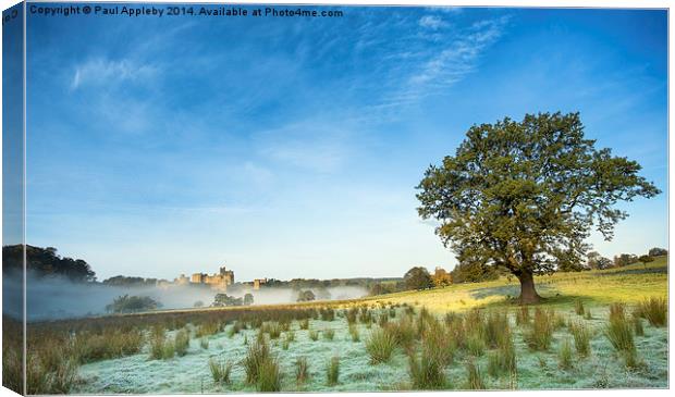  Alnwick Castle - frost and mist Canvas Print by Paul Appleby