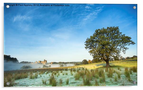  Alnwick Castle - frost and mist Acrylic by Paul Appleby