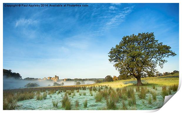  Alnwick Castle - frost and mist Print by Paul Appleby