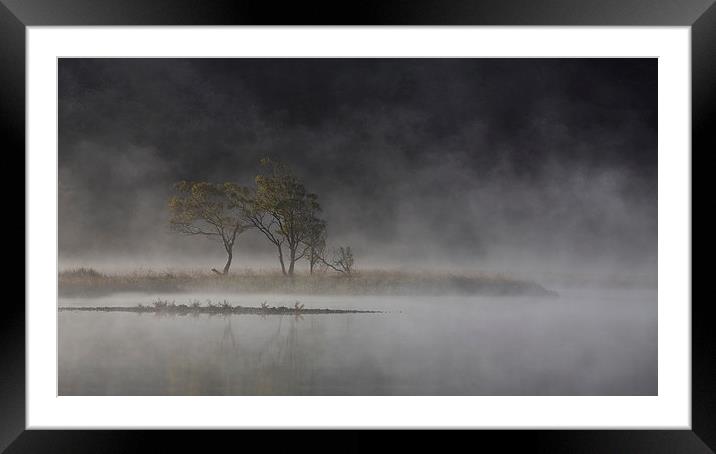  Trees in the mist Framed Mounted Print by Rory Trappe