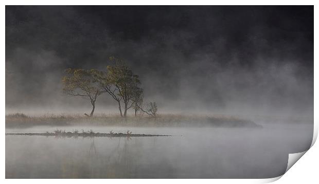  Trees in the mist Print by Rory Trappe