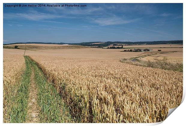 Pathway to the Chiltern Hills Print by Jim Hellier
