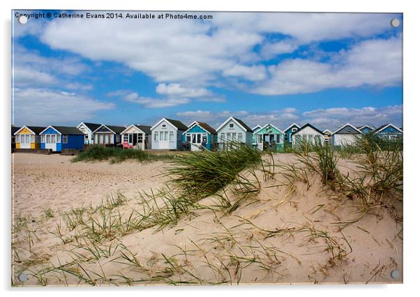  Beach Huts on Hengistbury Head Acrylic by Catherine Fowler