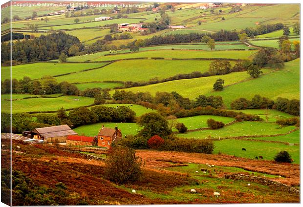  Danby Dale  North York Moors Canvas Print by Martyn Arnold