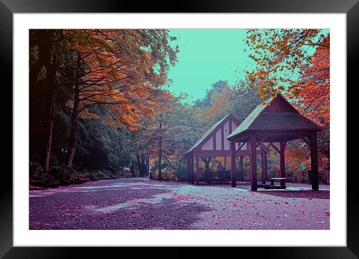  Autumn colors. Framed Mounted Print by Nadeesha Jayamanne