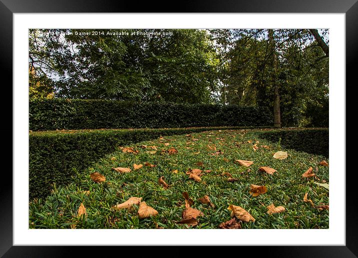  Autumn on Evergreen Framed Mounted Print by Brian Garner