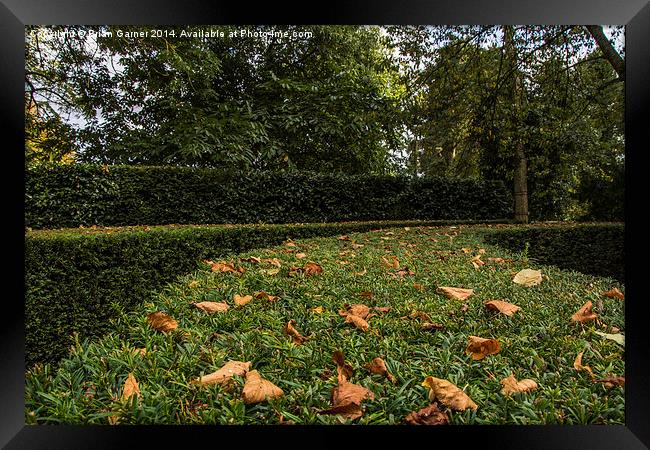  Autumn on Evergreen Framed Print by Brian Garner
