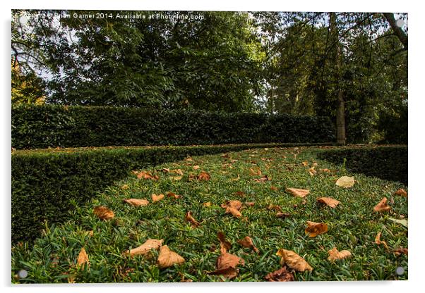  Autumn on Evergreen Acrylic by Brian Garner