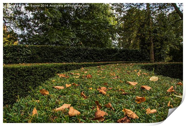  Autumn on Evergreen Print by Brian Garner