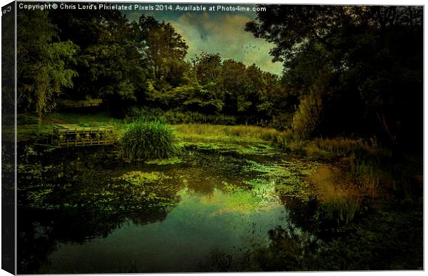  Friston Pond One Year Later Canvas Print by Chris Lord