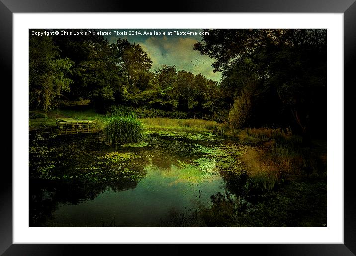  Friston Pond One Year Later Framed Mounted Print by Chris Lord