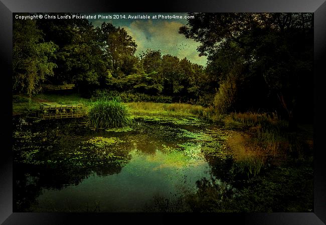  Friston Pond One Year Later Framed Print by Chris Lord