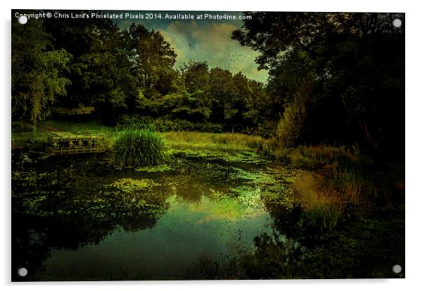  Friston Pond One Year Later Acrylic by Chris Lord
