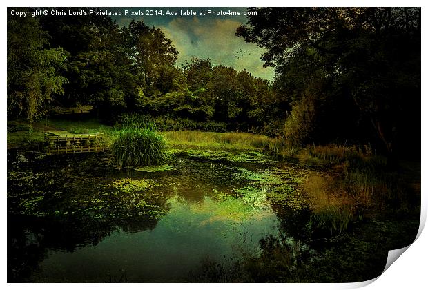  Friston Pond One Year Later Print by Chris Lord