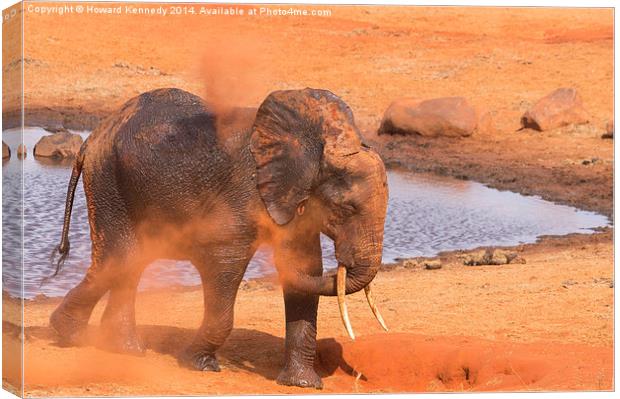 Elephant dust bathing Canvas Print by Howard Kennedy