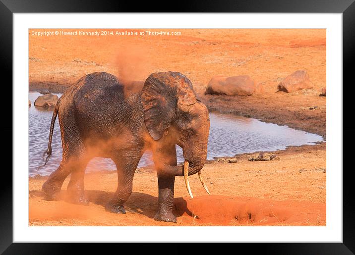 Elephant dust bathing Framed Mounted Print by Howard Kennedy