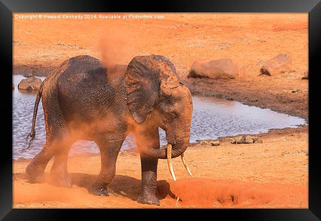Elephant dust bathing Framed Print by Howard Kennedy