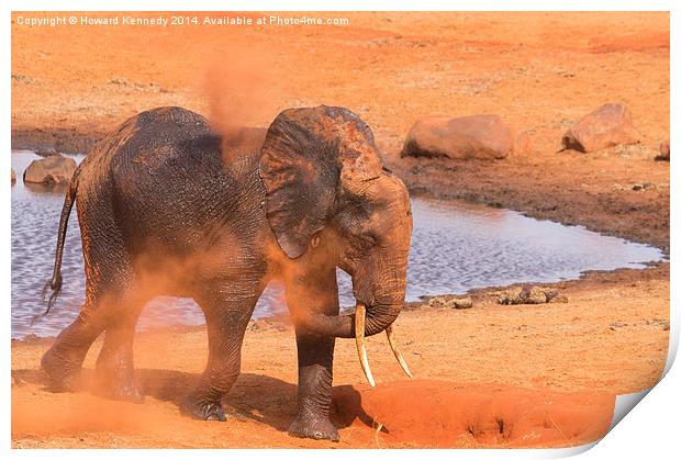 Elephant dust bathing Print by Howard Kennedy