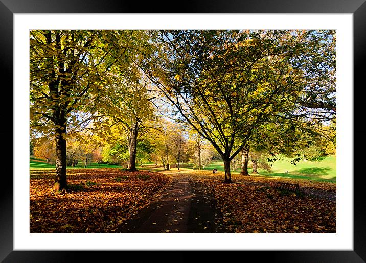  Autumn at Cockington Country Park Torquay Framed Mounted Print by Rosie Spooner